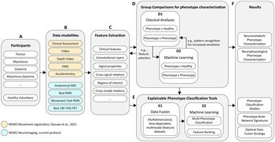 Next move in movement disorders: neuroimaging protocols for hyperkinetic movement disorders